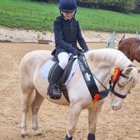 custard_the_mare_