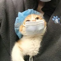 original sound - nayelinrossio