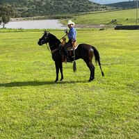 nitojuarez1