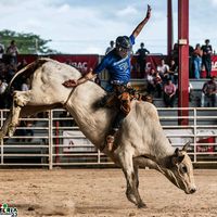 joseandresarce0