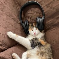 original sound