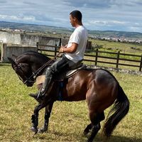 diego.c.santos_hs