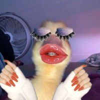 original sound - louwie