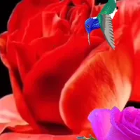 original sound - marisolestrella137