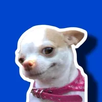 original sound - doguinhofofiinho