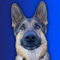 original sound - bestboybenson