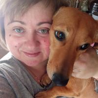 оригінальний звук