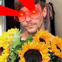 28fookingavacadosinmebox