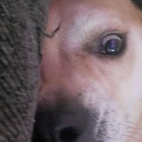 reesie.smokey