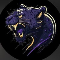 3ano_panther