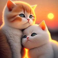 littleaddobea7