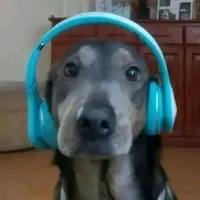 original sound - sflyx.audios