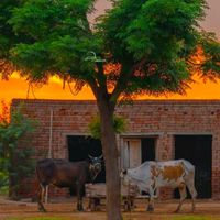 rohailchaudharycreations