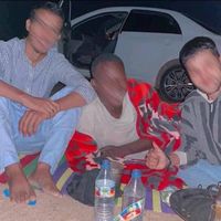 الصوت الأصلي