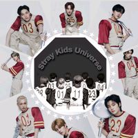 skz_universee