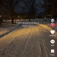 falonem02