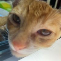 birthdaywriter123321