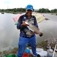 suara asli - BOY KOLAM PERDANA