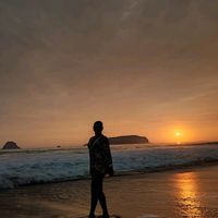 maalu_295