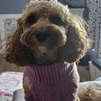 zoeyandpatty