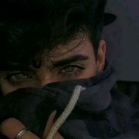 hamoudi_2_0_0_4