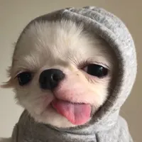 original sound - wildworld0012