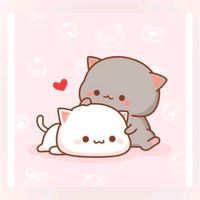 para_voce04