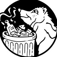 original sound - Fat Possum Records