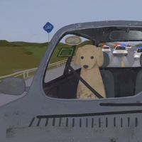 im.the.map.06