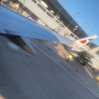 fine_shit21