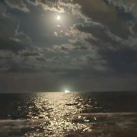 andreachamberlain28