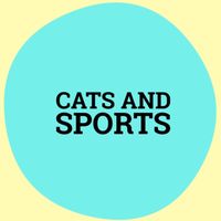 cats_and_sports_memes