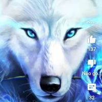 noturna_loba