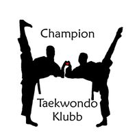 championtaekwondoklubb