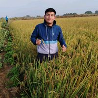 soy_jeshu17