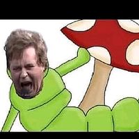 πρωτότυπος ήχος