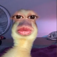 original sound - rolas_aesthetic10