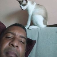 robsao40