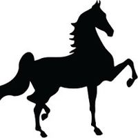saddleseatedits_