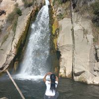 www.titok.comyanethqm