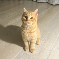 No work. No school. No bills