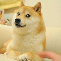 team_doge