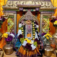 all_poosei_international