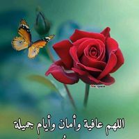 ahmed.fellahi115