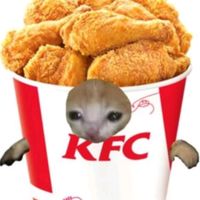 ema_cat4