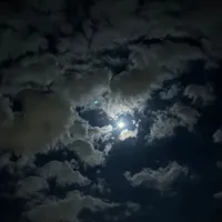 original sound - user791286272