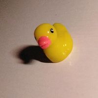 rubberduckie81