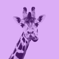 .xoxospencer