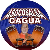 original sound - asocosalsacagua