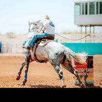 racin.bitsy